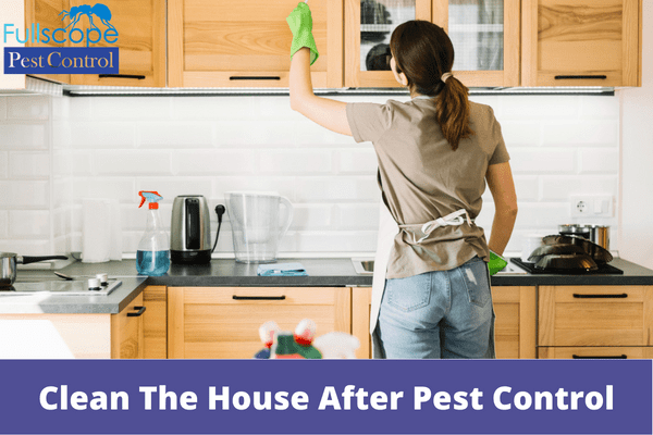 Should I Clean The House After Pest Control | Full Scope Pest Control