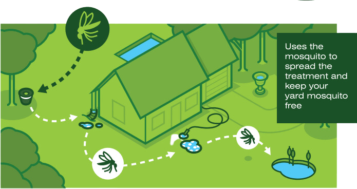 How it works | Full Scope Pest Control
