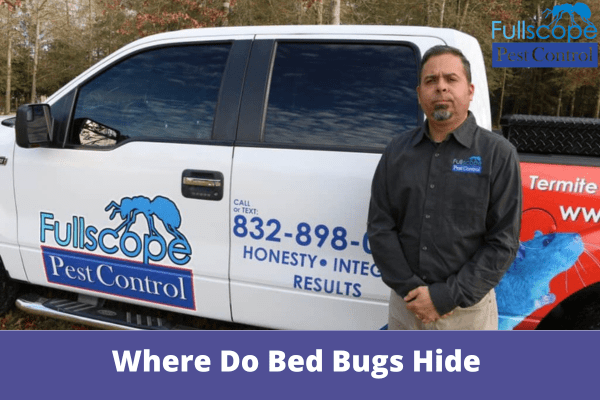 Where Do Bed Bugs Hide | Full Scope Pest Control