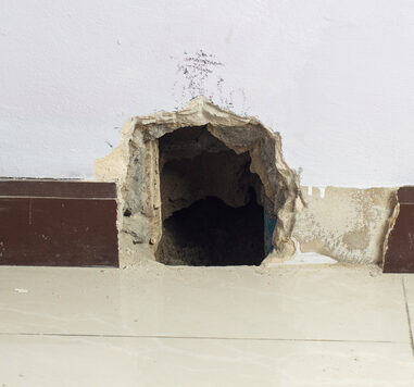 Concrete walls in the shade that have been smashed or destroyed to find holes for water leaks. Home repair concept.
