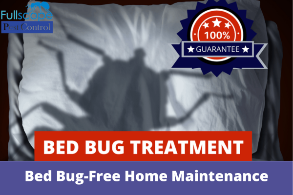 Bed Bug-Free Home Maintenance