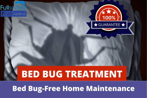 Bed Bug Free Home Maintenance