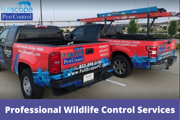 Professional Wildlife Control Services