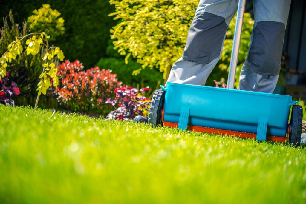 Spring Fertilization of Grass. Garden Works.