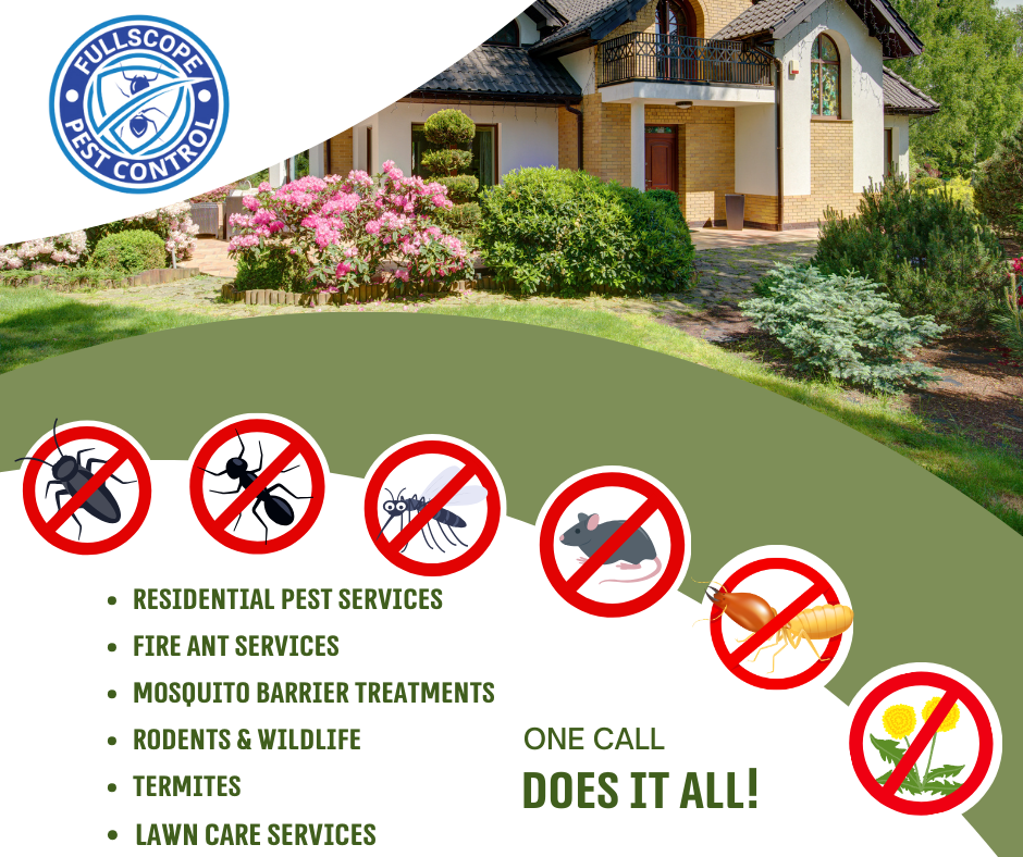 Best Pest Control Company