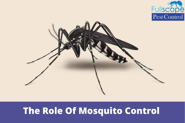 The Role Of Mosquito Control In Disease Prevention