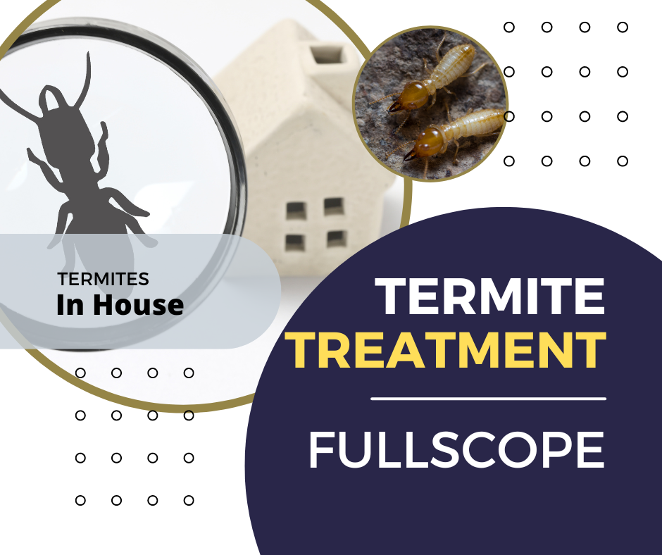 Termite treatment