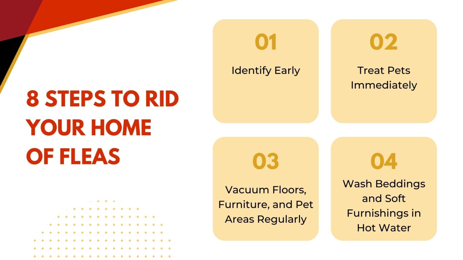 Fleas in House: 8 Essential Elimination Steps