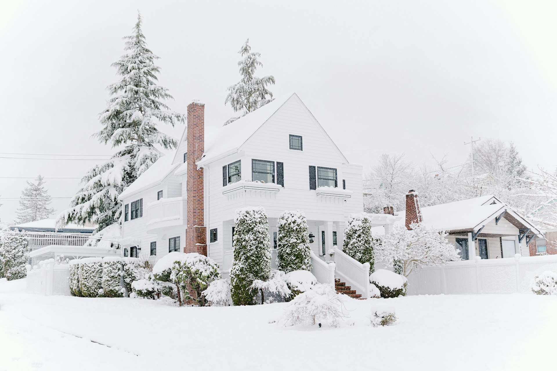 Pest Prevention Checklist For The Winter Season
