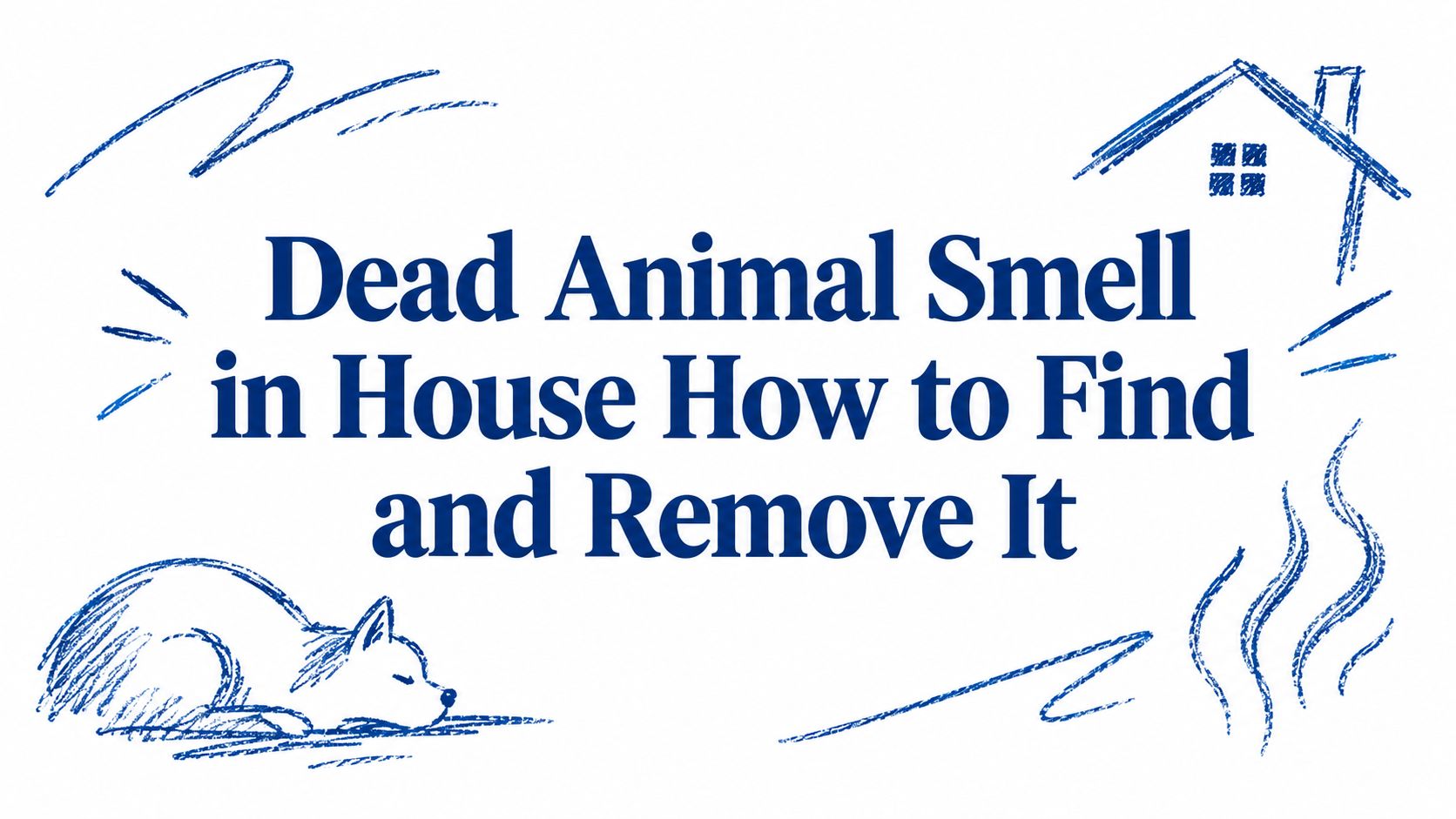 Dead Animal Smell in House How to Find and Remove It