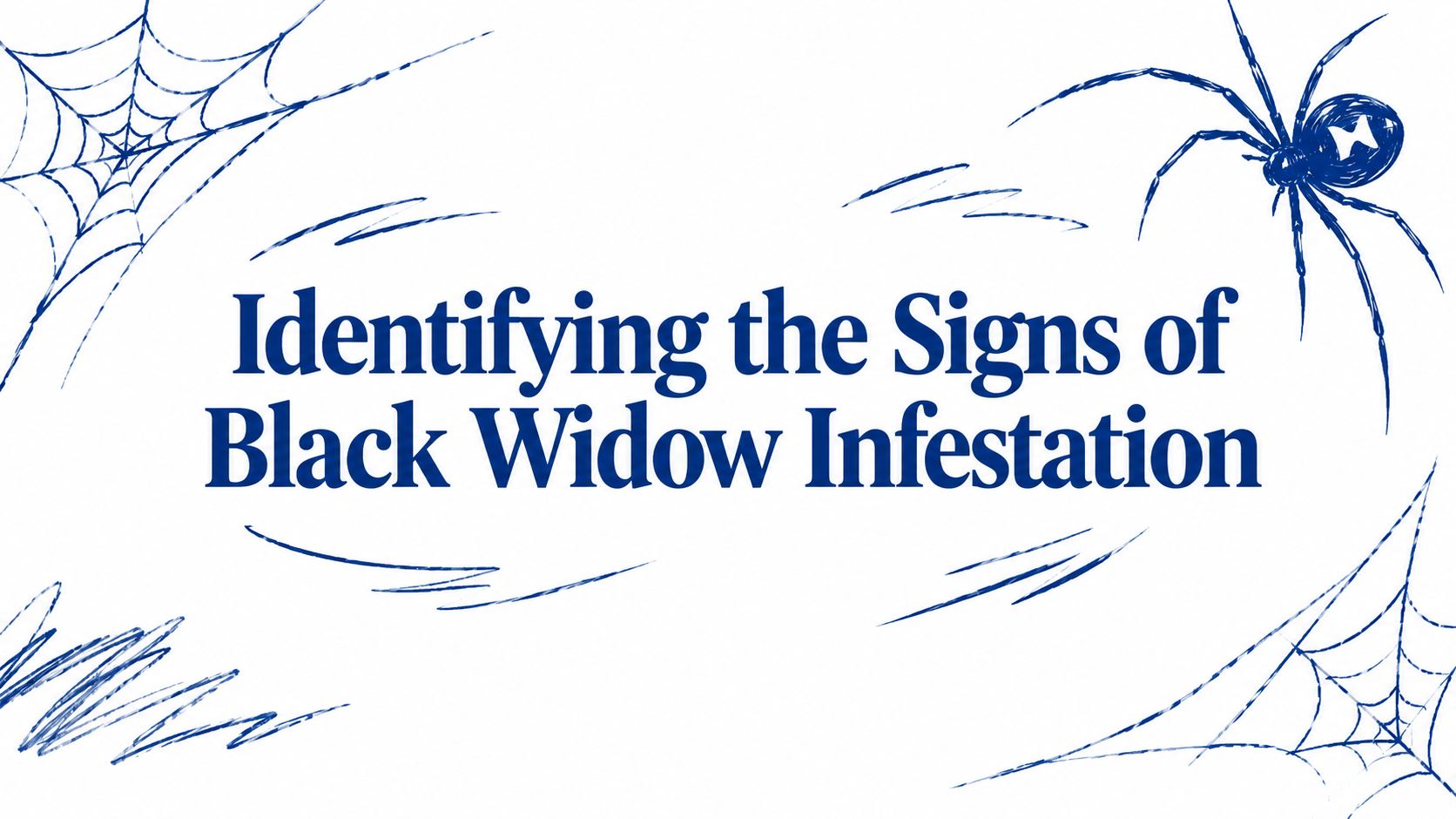 Identifying the Signs of Black Widow Infestation