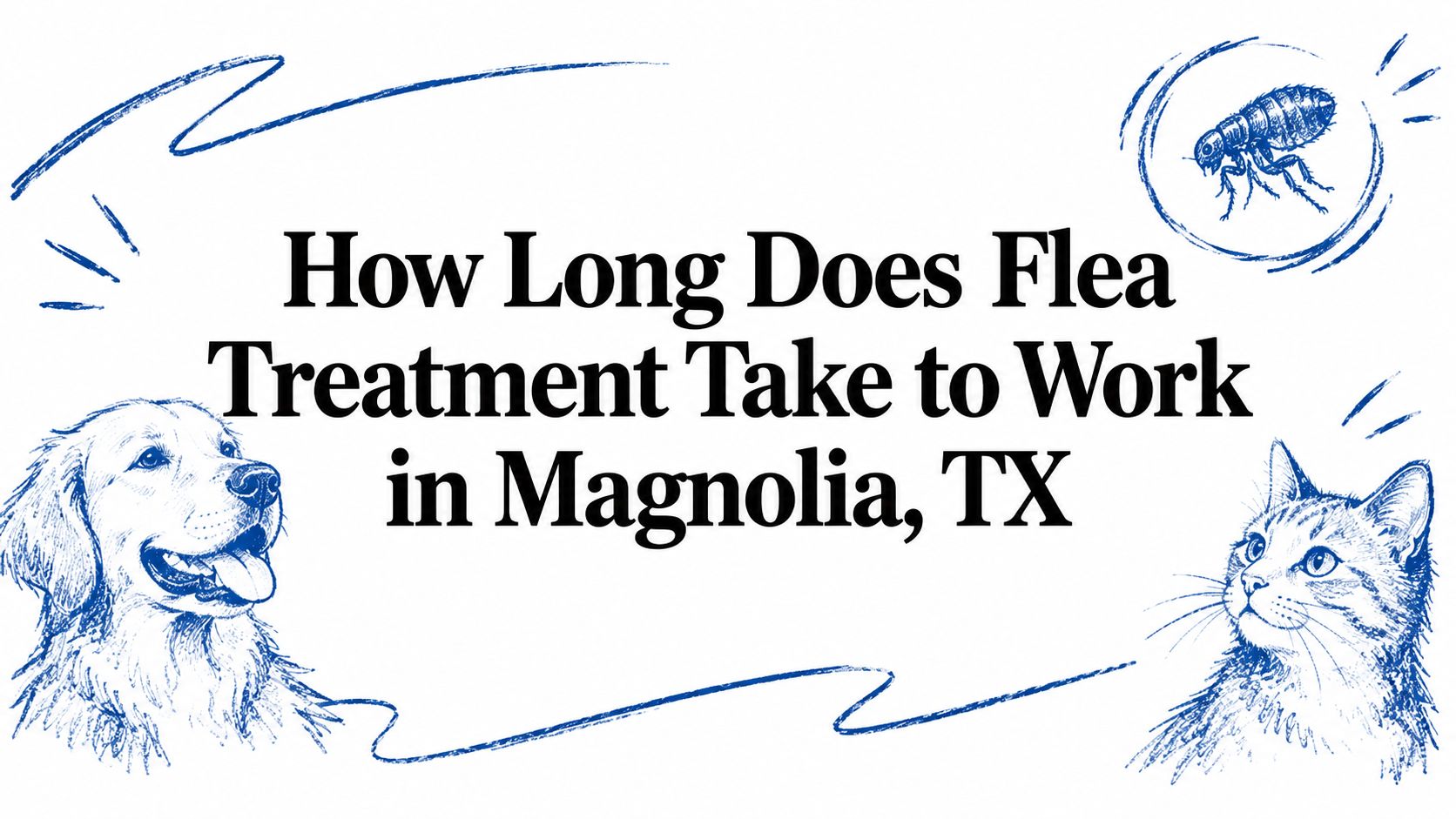 How Long Does Flea Treatment Take to Work in Magnolia, TX