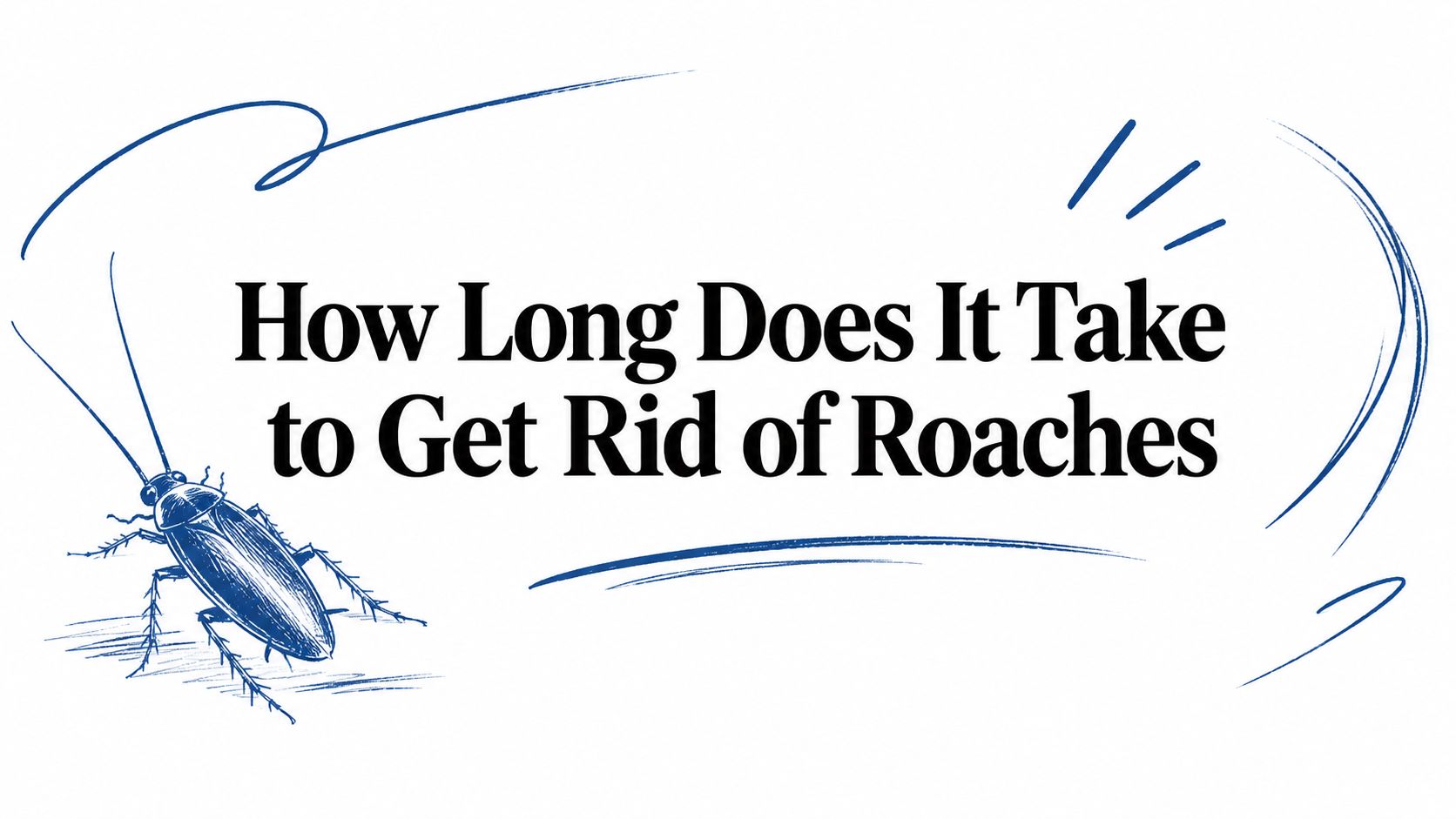 How Long Does It Take to Get Rid of Roaches