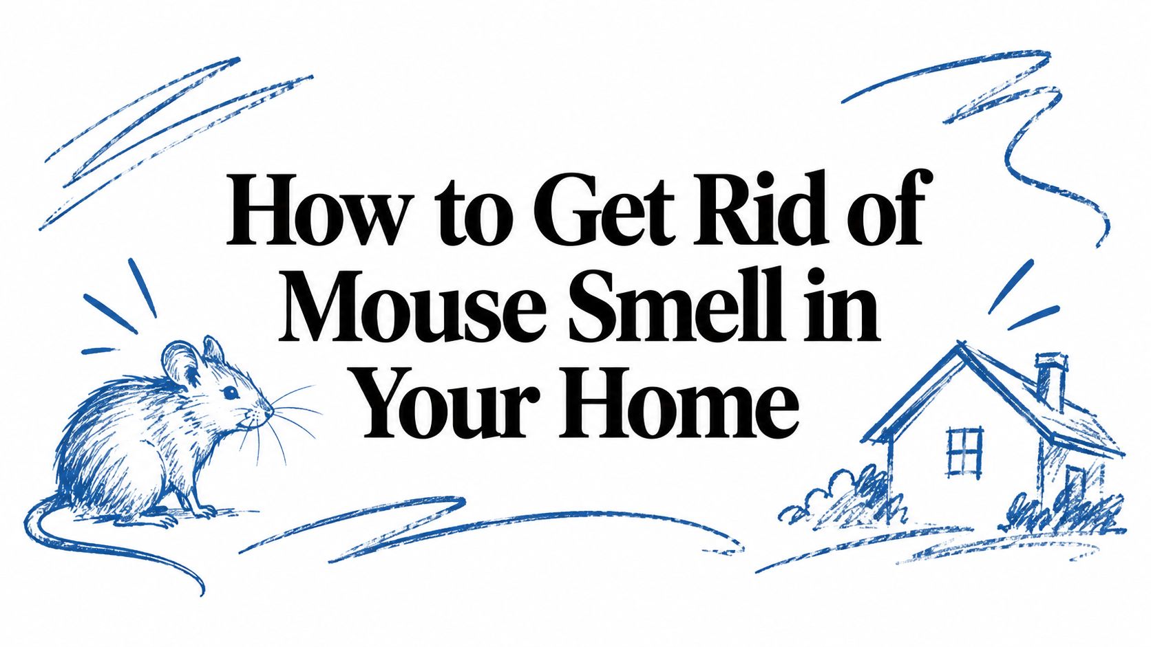 How to Get Rid of Mouse Smell in Your Home