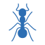 ant (1) ant (1)