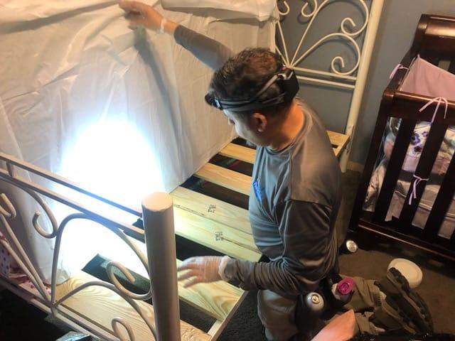 Bed Bug Removal in The Woodlands
